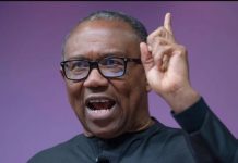 Tinubu Certificate Saga: Peter Obi Declines Atiku’s Call
