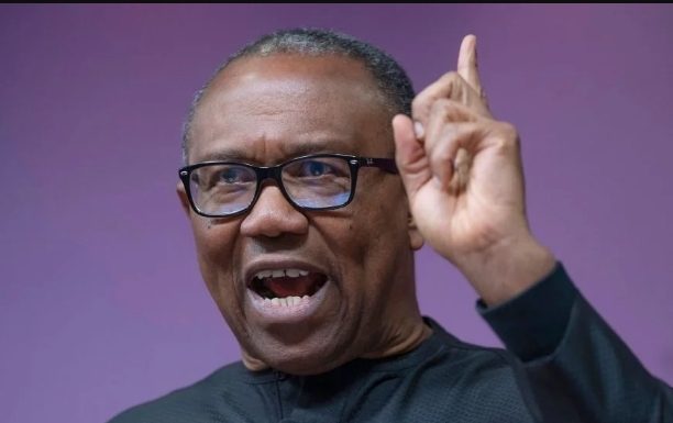 Tinubu Certificate Saga: Peter Obi Declines Atiku’s Call