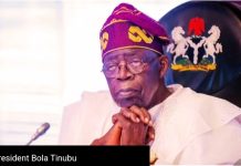 Tinubu Opens Land, Air Borders With Niger Republic, Lifts Sanctions