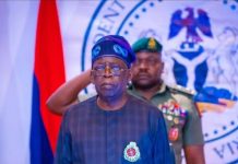 Tinubu Constitutes PECC, Lists Dangote, Elumelu, Rabi’u, Others As Members
