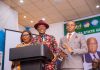 REGIONAL DEVELOPMENT: Diri, Oborevwori, Uzodinma, Others Task NDDC, Niger Delta Ministry On Collaboration
